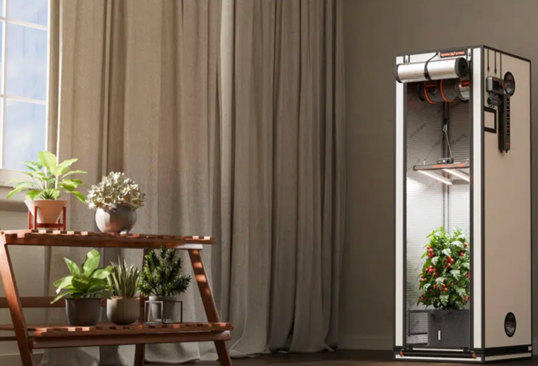 Lichtpower fürs Wohnzimmer: Wie LED-Grow-Lampen deinen Indoor-Dschungel zum Explodieren bringen Lichtpower fürs Wohnzimmer